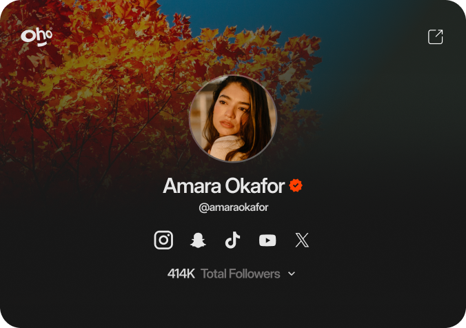 Creator profile preview